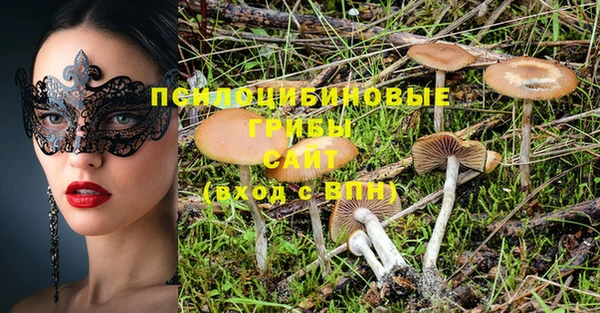 ешки Алексин