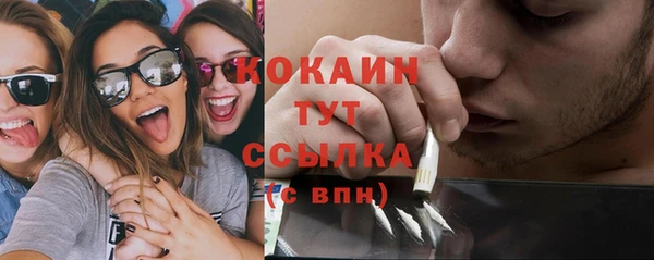 ешки Алексин