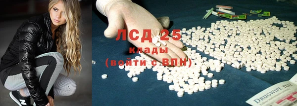 ешки Алексин