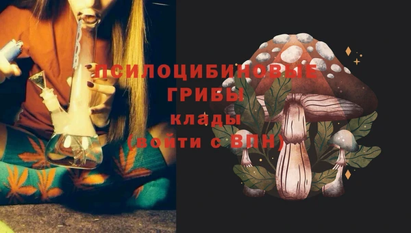 ешки Алексин